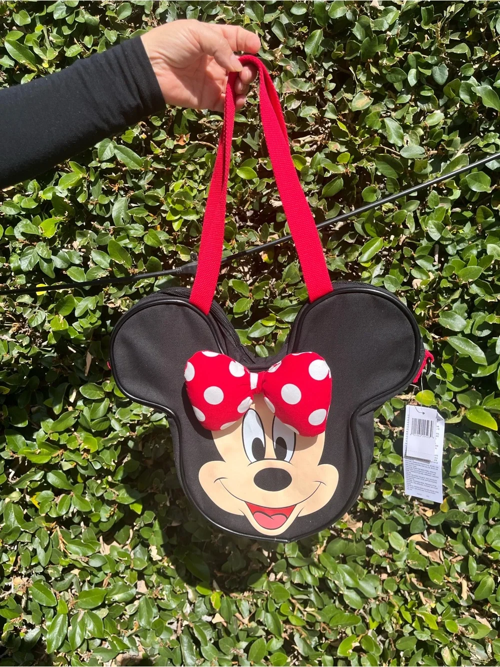 Mini Minnie Mouse Character face Tote Bag